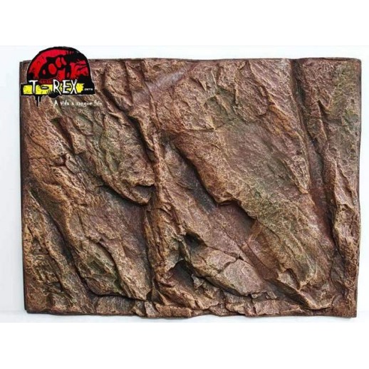 Background Rochoso 3d  Repteis | Iguana