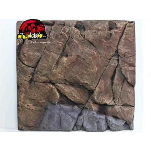 Background Rochoso 3d  Repteis | Iguana