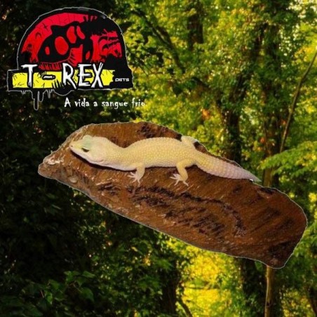 Pedra Aquecedora M Répteis | Terrário | Iguana | Pogona