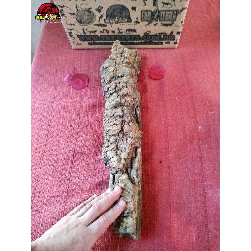 Tronco Natural Cork 02