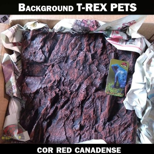 Background para Terrário Aquário