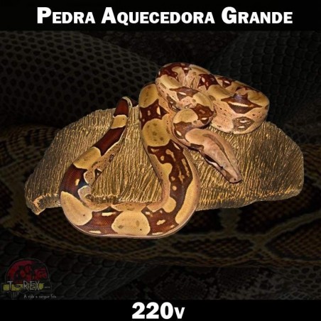 Aquecimento para Terrários