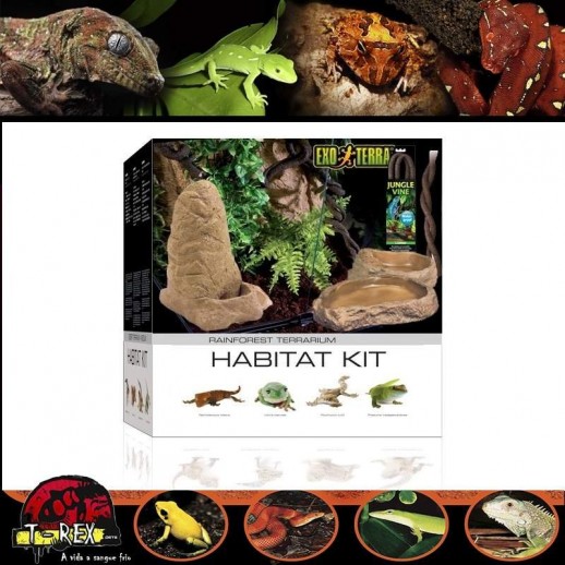 Decoração para Terrário Répteis