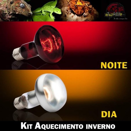 lampada aquecer terrario iguana pogona