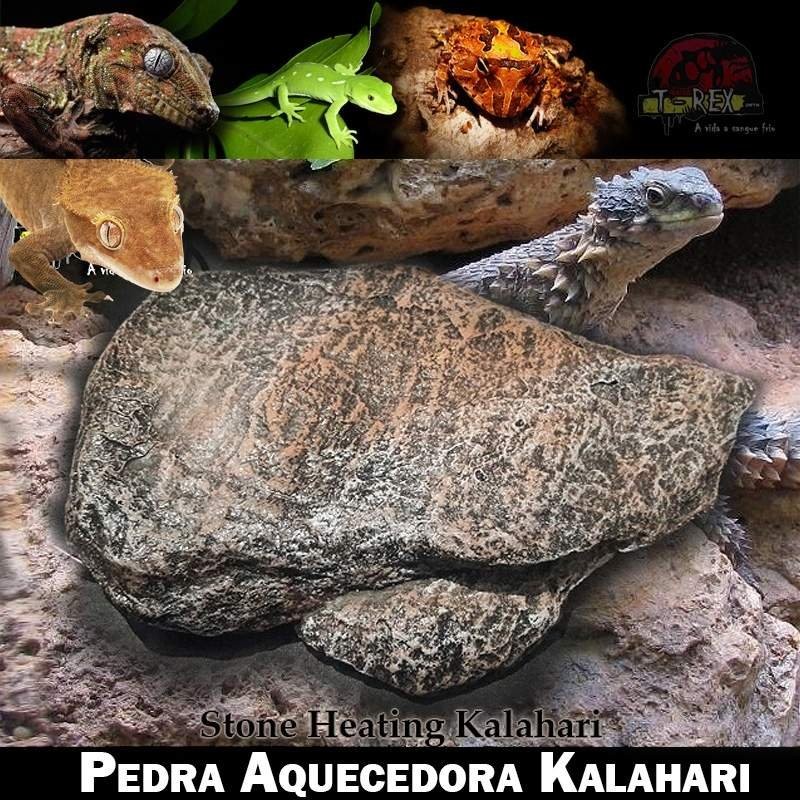 Pedra aquecida para répteis iguana