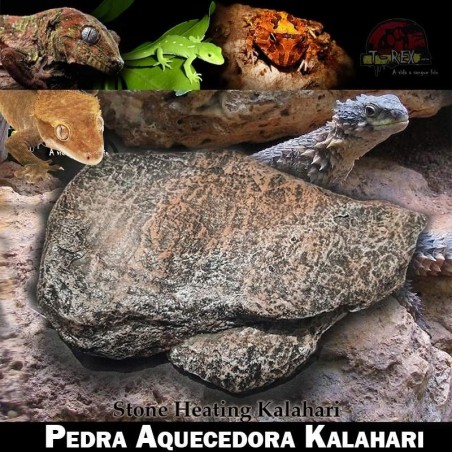 Pedra aquecida para répteis iguana