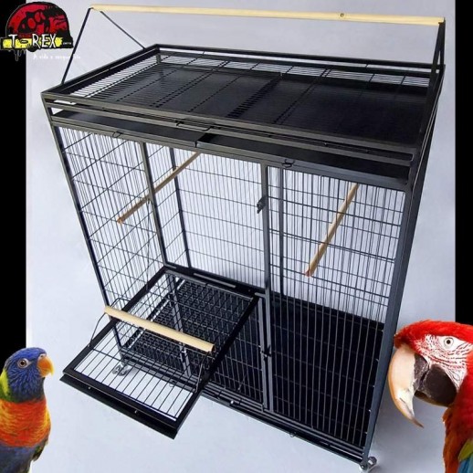 viveiro para ring neck