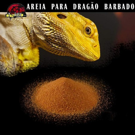 Areia para Terrário Répteis