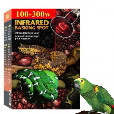 Lâmpada de Aquecimento Papagaios