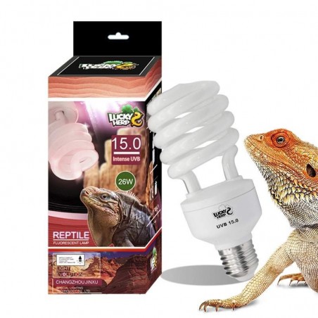 lampada uvb para répteis pogona
