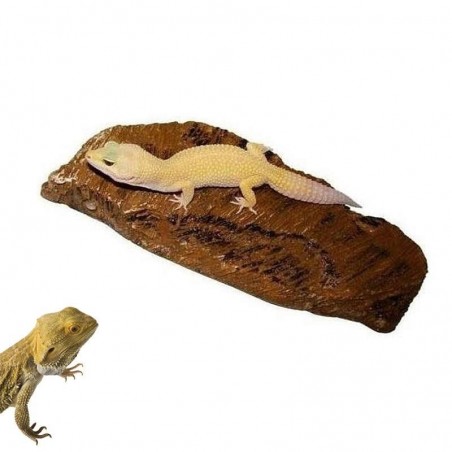 Pedra Aquecimento Repteis