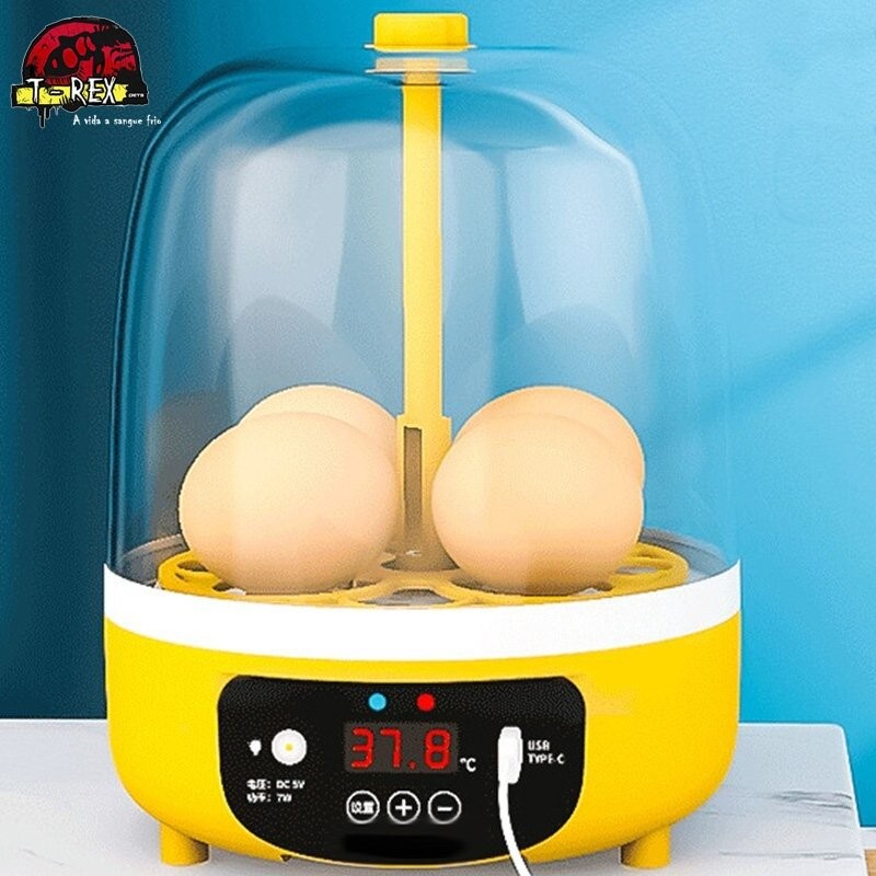 incubadora para aves e repteis