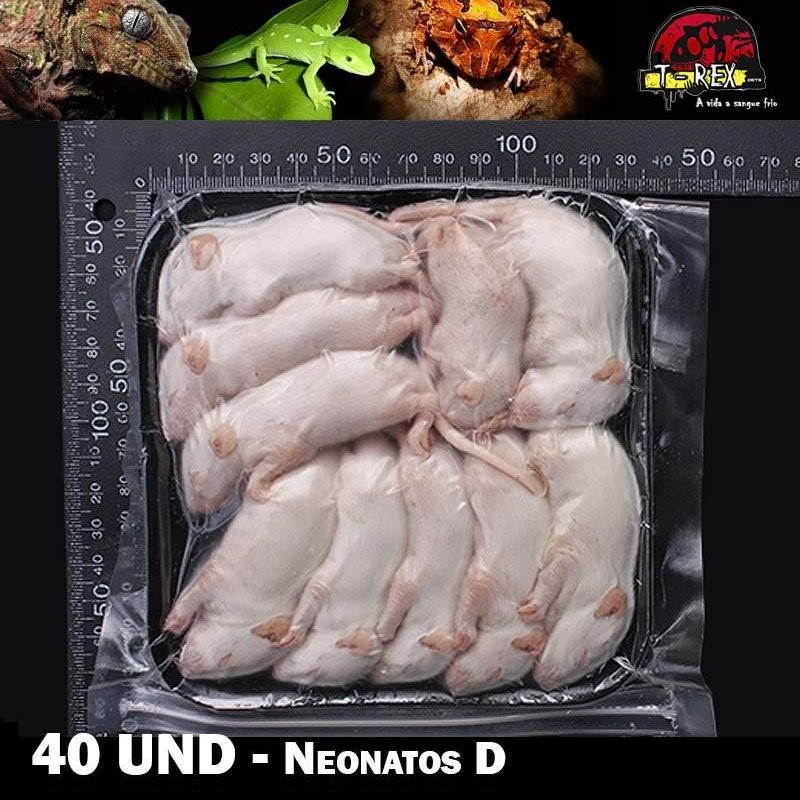 camundongo congelado para cobra