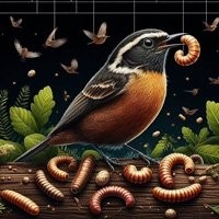 Alimento Vivo